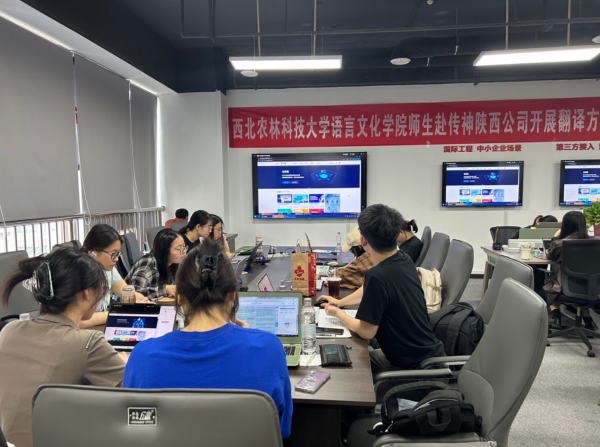图片1_副本.png