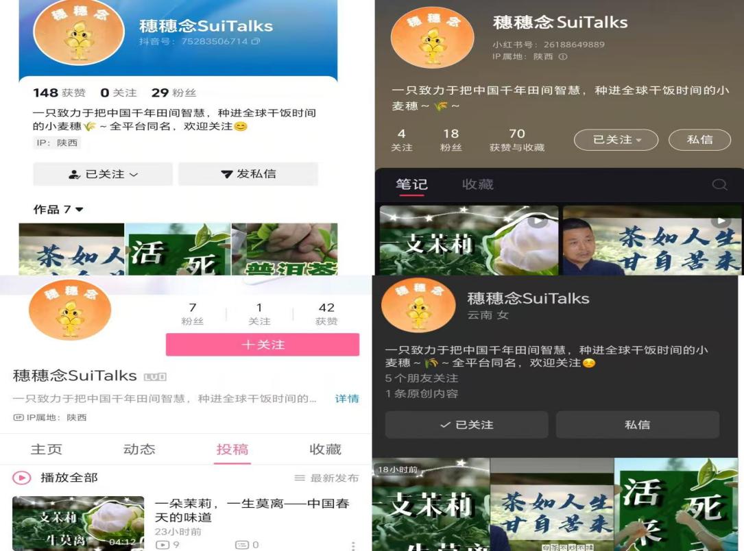用镜头解码农耕文明：探寻农遗影像的国际传播新路径