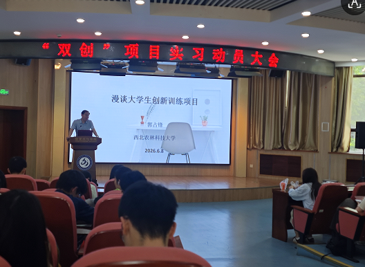 英语专业2025级创新创业实习圆满落幕