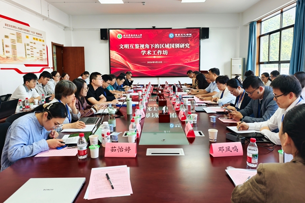 语言文化学院举办“文明互鉴视角下的区域国别研究学术工作坊”