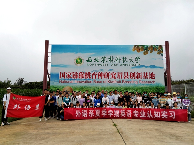 实习合影.jpg