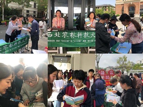 5f02b4d021e34a8e9f9ac6280052f8ca.jpg 咨询会现场.jpg