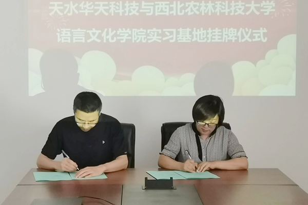 图片2_副本.png